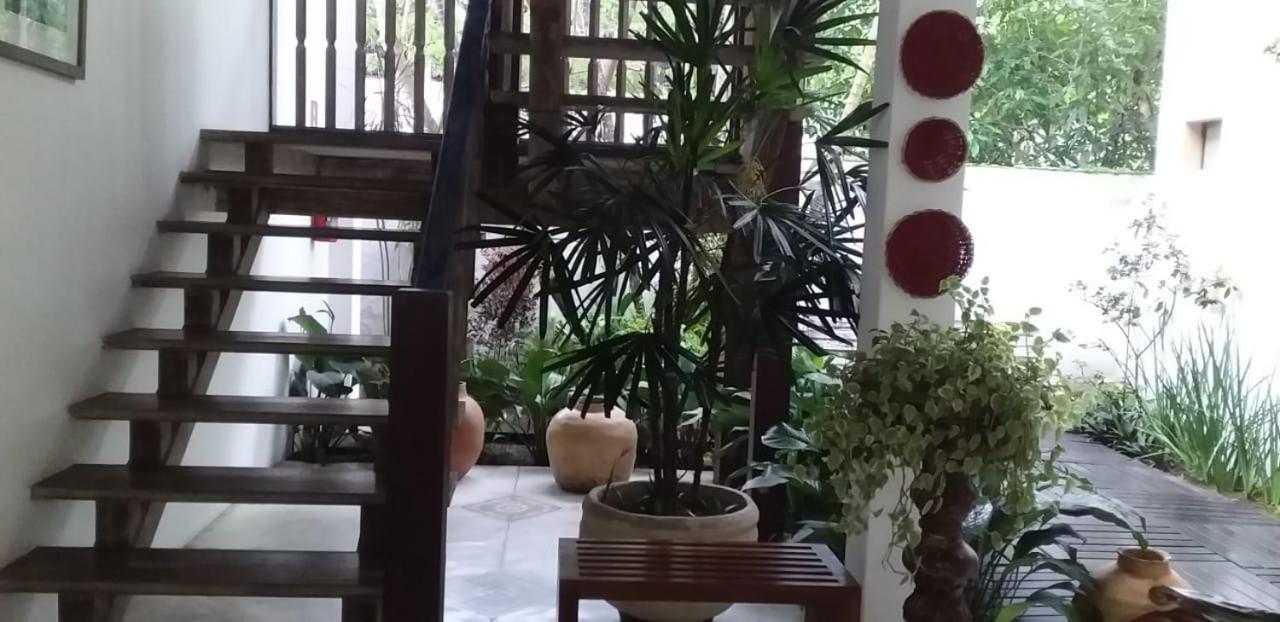 Pouso Frutos De Paraty Hotell Eksteriør bilde